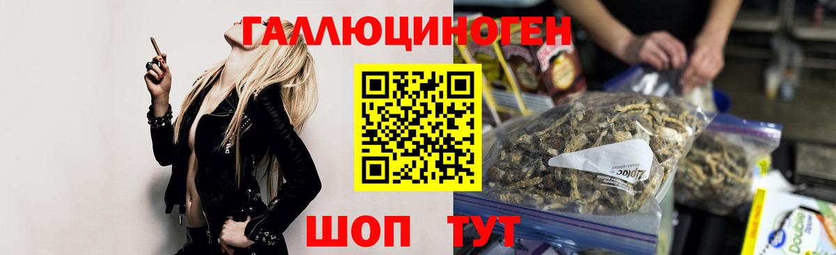 Галлюциногенные грибы Psilocybe  Псилоцибиновые грибы прущие грибы  Вход с VPN  Ухта 